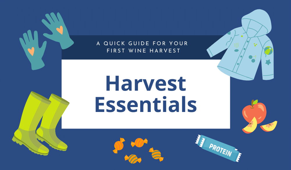 harvest essentials checklist with boots and jacket